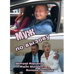 Муж по вызову (2015) постер