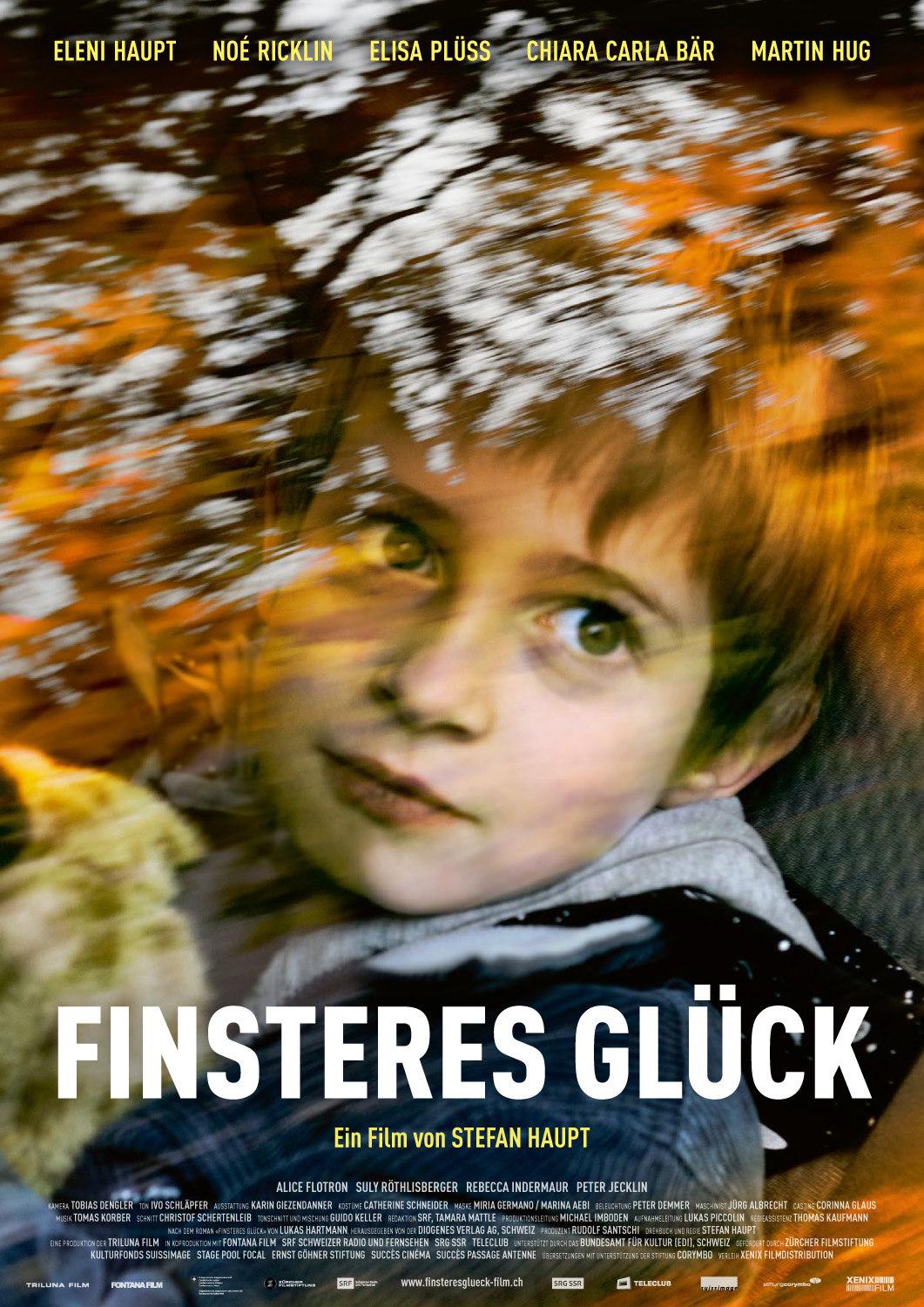 Finsteres Glück (2016) постер